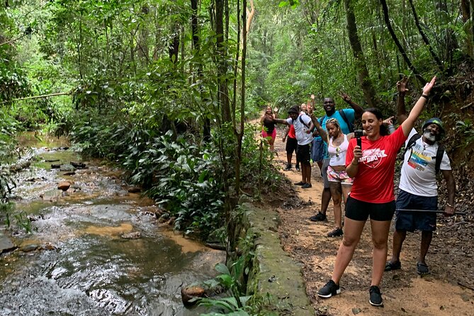 Tijuca Forest Hike - Waterfalls & Caves, Nature & Wild Life! - Tijuca National Park: The Forest That Feels Like a World Away