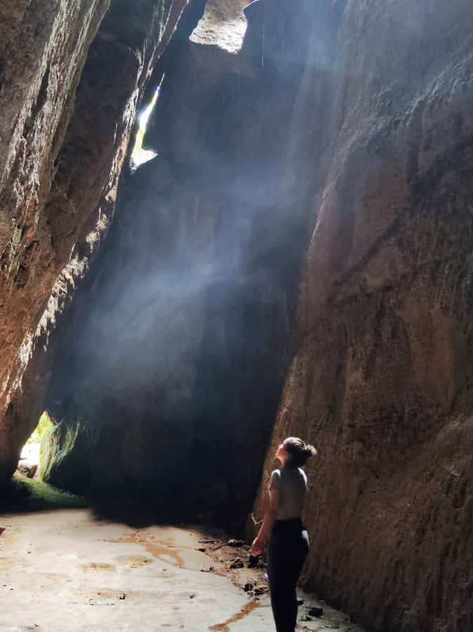 Tijuca Forest´s hike: caves, waterfalls and great views - Entering Tijuca Forest: from Alto da Boa Vista to your first jungle trail