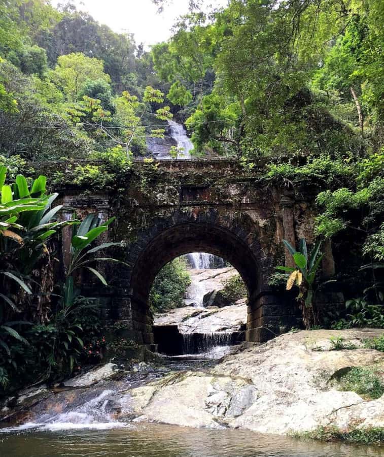 Tijuca Forest´s hike: caves, waterfalls and great views - Ruins, lakes, and the historical circuit you can actually enjoy