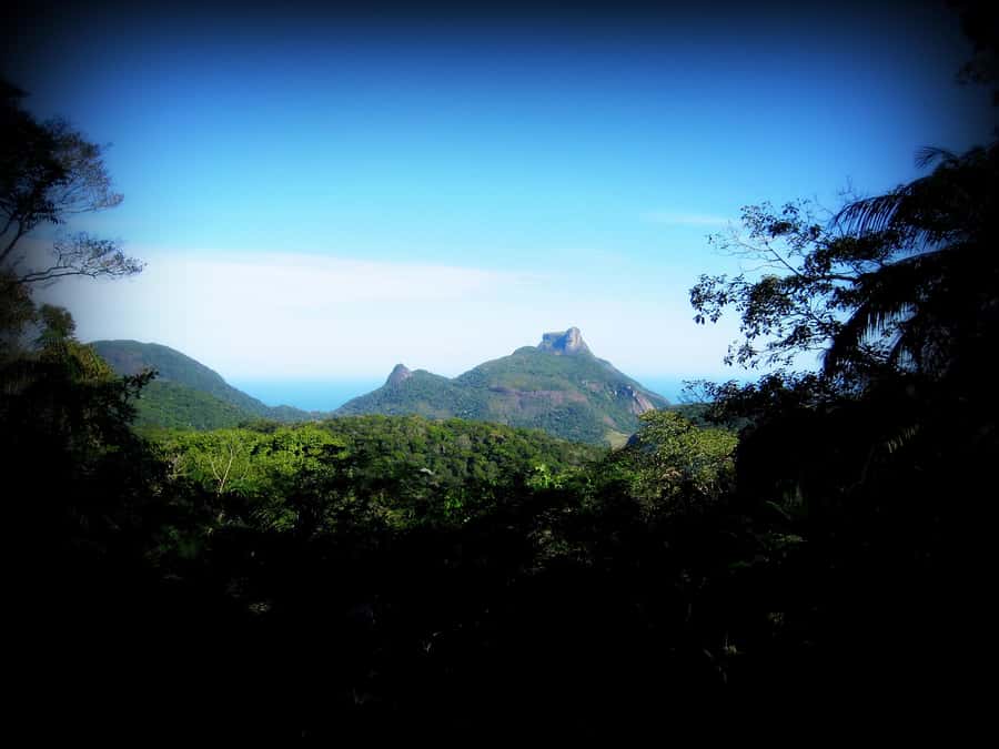Tijuca Forest´s hike: caves, waterfalls and great views - Waterfall time, snacks, and the real reason to bring your towel
