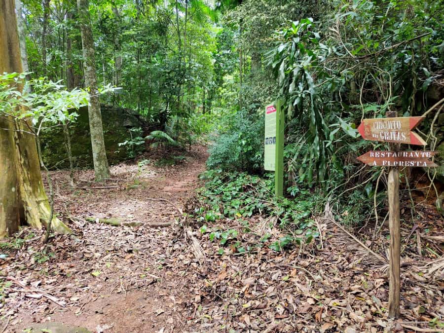 Tijuca Forest´s hike: caves, waterfalls and great views - Who this tour fits best (and who should skip)