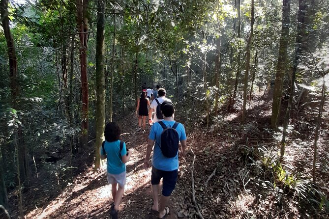 Tijuca National Park and all its wonders! - Tijuca National Park: a green escape that starts inside Rio