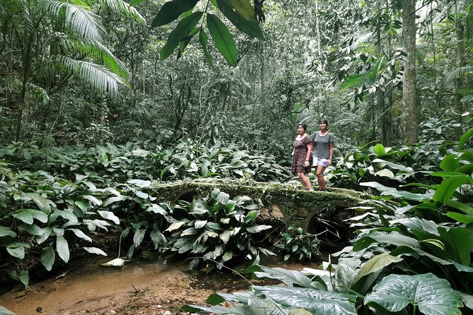 Tijuca National Park and all its wonders! - Taunay Waterfall: the sound of the park in one stop