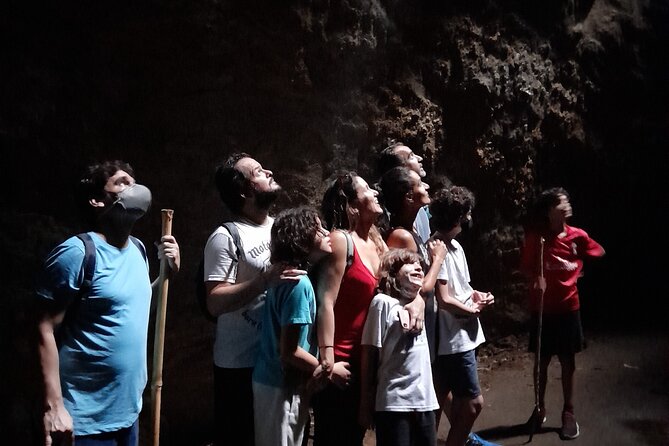 Tijuca National Park and all its wonders! - Cascata da Baronesa: more waterfall variety, less repetition