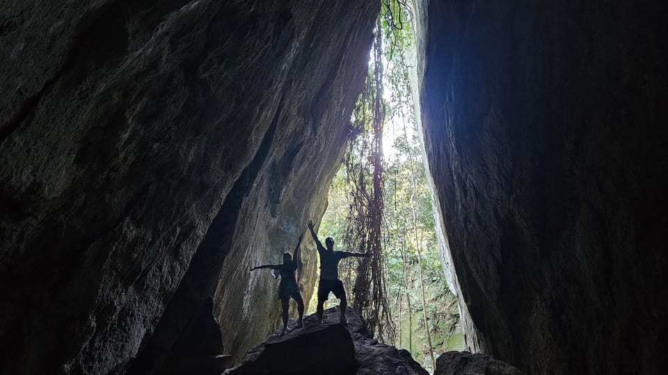 Tijuca National Park and all its wonders! - The historical circuit: coffee and livestock inside the forest